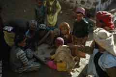 ���� ������ ��� ��� ����