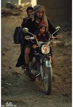 ���� ������ ��� ��� ����