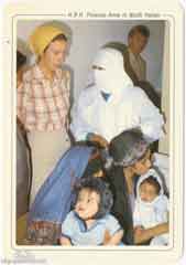 ���� ������ ��� ��� ����