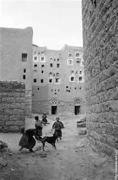 ���� ������ ��� ��� ����