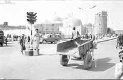 ���� ������ ��� ��� ����