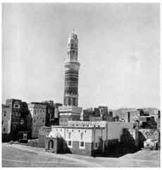 ���� ������ ��� ��� ����