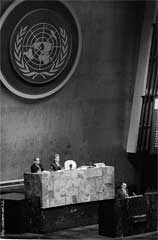 ���� ������ ��� ��� ����