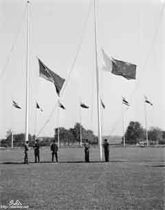 ���� ������ ��� ��� ����