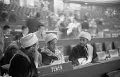 ���� ������ ��� ��� ����