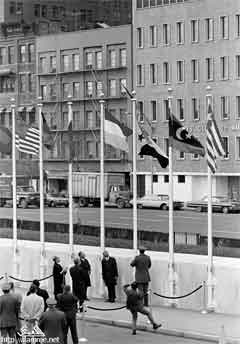 ���� ������ ��� ��� ����