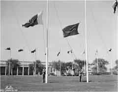 ���� ������ ��� ��� ����