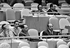 ���� ������ ��� ��� ����