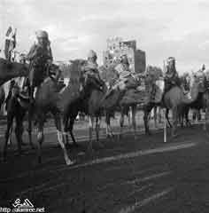 ���� ������ ��� ��� ����