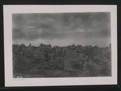 ���� ������ ��� ��� ����