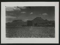 ���� ������ ��� ��� ����