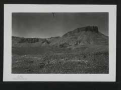 ���� ������ ��� ��� ����