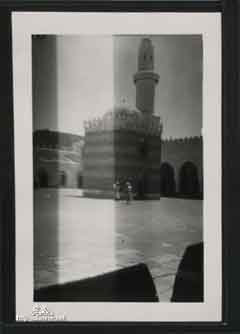 ���� ������ ��� ��� ����