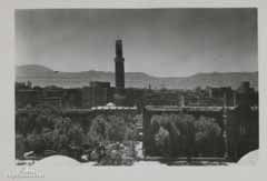 ���� ������ ��� ��� ����