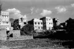 ���� ������ ��� ��� ����