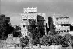 ���� ������ ��� ��� ����