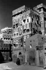 ���� ������ ��� ��� ����