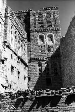 ���� ������ ��� ��� ����