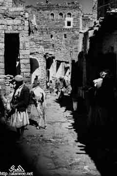 ���� ������ ��� ��� ����