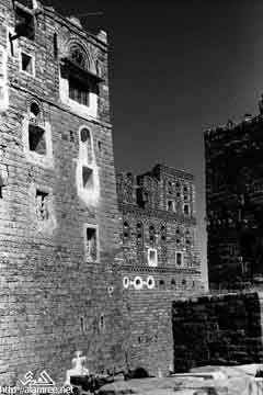 ���� ������ ��� ��� ����