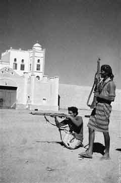 ���� ������ ��� ��� ����