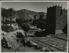 ���� ������ ��� ��� ����