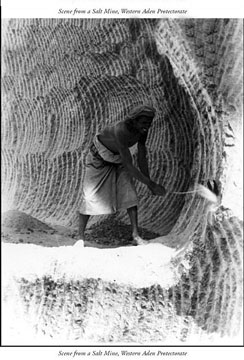 ���� ������ ��� ��� ����