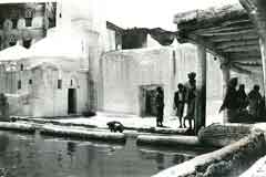 ���� ������ ��� ��� ����