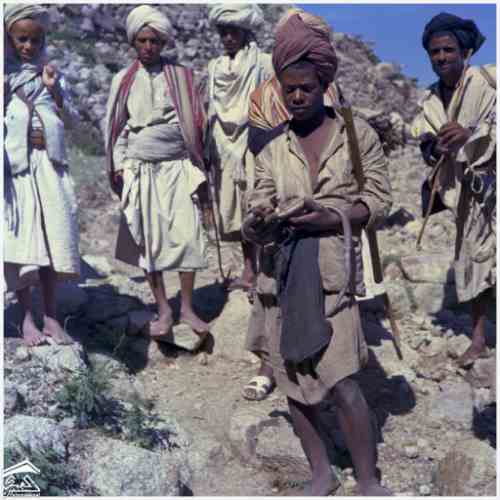 �����_����_��������_��� ��� 1909�