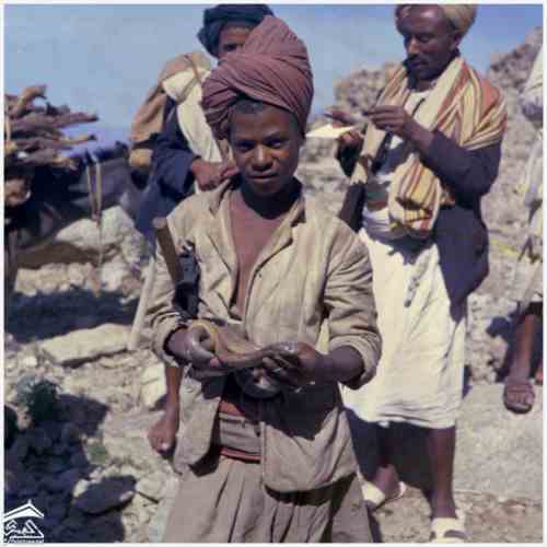 ��� ��� 1909