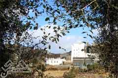 ����� ������ �� ���� ����� ����