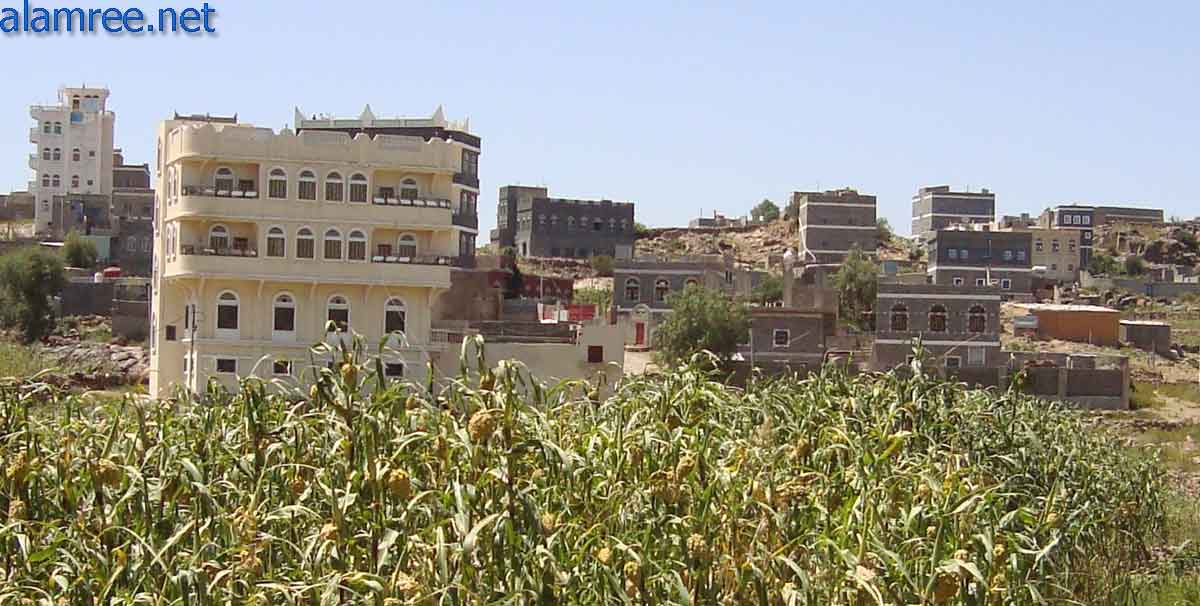 ���� �� �� ���� ����� ���� 